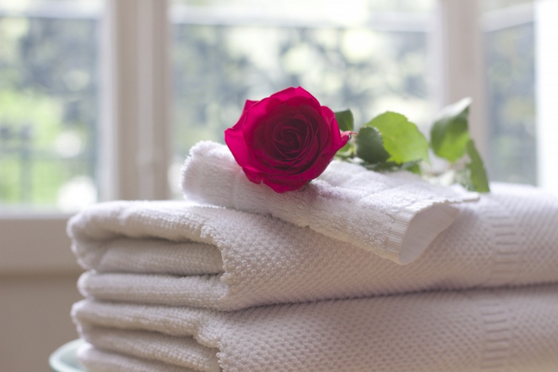 hotel-ST MARTIN DE PALLIERES-min_towel_rose_clean_care_salon_spa_white_bath-731641